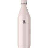 The All Day Slim Soğuk Su Şişesi Termosu, 0.60 Lt