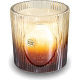 The Ashk Glass Nadir Mum 1000GR Incir, Yasemin, Karabiber - Renk - Açık Kahverengi