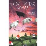 The Big Nap (Mommy-Track Mystery) by Ayelet Waldman (1-Jun-2001) Hardcover