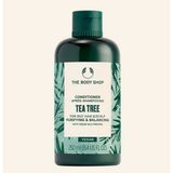 The Body Shop 250 ml Çay Ağacı Tea Tree Yağlı Saçlara Özel Saç Kremi