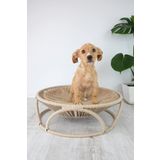 The Chattall - Borneo Bold - Dekoratif Premium Köpek Yatağı