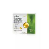 The Collagen Green Up Booster Vegan Collagen 30 Şase