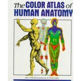 The Color Atlas of Human Anatomy by Vanio Vannini (1981-07-03)