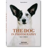 The Dog in Photography 1839–Today - Raymond Merritt