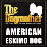 The Dogmother: American Eskimo Dog: (Dog Mom Wisdom & Life Lessons)