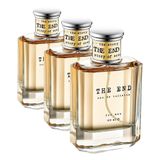 The End EDT Erkek Parfüm 100 ml Renkli (3 paketi)