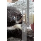 The First 21 Days: A Step-by-Step Neonatal Kitten Care Survival Guide