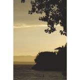 The Fluffy Nomad - Nature Series - hazy Adirondack Mountains: 125 page journal | college ruled