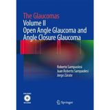 The Glaucomas: Volume II - Open Angle Glaucoma and Angle Closure Glaucoma by Roberto Sampaolesi (2013-11-29)