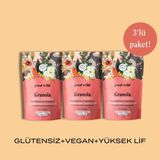 The Good Wild Çilekli Çikolatalı Granola | Glutensiz Vegan Atıştırmalık | Kurutulmuş Çilek | Yüksek Lif | 3x300 Gr - 900 gr