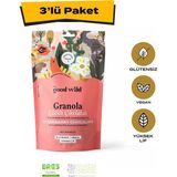 The Good Wild Çilekli Çikolatalı Granola | Glutensiz Vegan Atıştırmalık | Kurutulmuş Çilek | Yüksek Lif | 3x300 Gr - 900 gr