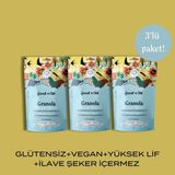 The Good Wild Karışık Meyveli Granola | İlave Şekersiz | Glutensiz Vegan Atıştırmalık | Yüksek Lif | 3 x 300 gr - 900 gr