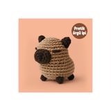 The Gookie Capybara Tığ Kiti Yeni Başlayanlar İçin Videolu Amigurumi Örgü Oyuncak Seti- Pratik Örgü İp