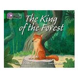 The King of the Forest (BC-5 Green)
