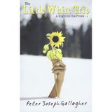 The Little White Trip: A Night in the Pines