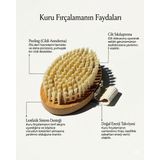 The Longevity Co %100 Doğal At Kılı Fırçası - Selülit Karşıtı Vücut Fırçası | Lenfatik Drenaj & Dry Brushing - Kahve