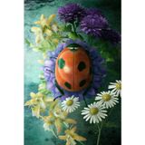 The Lucky Ladybug Dream Journal: Lined Hardcover Notebook, 6x9 inches, 120 Cream pages