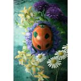 The Lucky Ladybug Dream Journal: Lined Paperback Notebook, 6x9 inches, 120 Cream pages