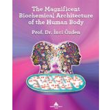 The Magnificent Biochemical Architecture Of The Human Body - İnci Özden