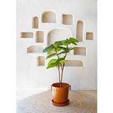 The Mia Ficus Umbellata Yapay Ağaç Yeşil 120 cm