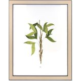 The Mia Vimini Siyah 40x50 cm Fotoğraf Çerçevesi