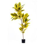 The Mia Yapay Ficus Altissima Ağacı Sarı Yeşil 170 cm
