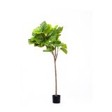 The Mia Yapay Ficus Umbellata Ağacı Yeşil 150 cm