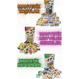 The Monarch Co 3'lü Eğitici Manyetik Set - Hayvanlar, Taşıtlar, Meyve ve Sebzeler Buzdolabı Magneti Oyuncak 3+ Yaş