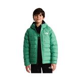 The North Face B Reversıble Perrıto Hooded Jacket Çocuk Outdoor Montu NF0A88TWG571 Mavi