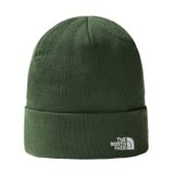 The North Face Bere Norm Beanie