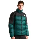 The North Face Diablo Down 2.0 Erkek Yeşil Outdoor Mont NF0A8993UY61