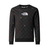 THE NORTH FACE Drew Peak Light Crew Print Sweatshirt Erkek çocuk