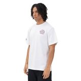 The North Face Drip Logo Relaxed Graphic Erkek Beyaz Outdoor T-Shirt NF0A8GABFN41