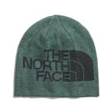 THE NORTH FACE Erkek bere ters çevrilebilir Highline