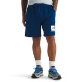 THE NORTH FACE Erkek Şort Box NSE Regular