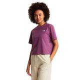 The North Face Evolution Simple Dome Cropped Relaxed Kadın Mor Outdoor T-Shirt NF0A8FDHG4Y1