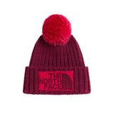 The North Face Herıtage Skı Tuke Unisex Bere Nf0a7wjorgw1
