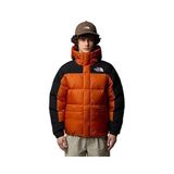 THE NORTH FACE Hmlyn Kaz Tüyü Parka Mont, L, Hmlyn Down Parka, Bakır, Erkek