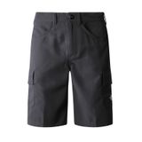 THE NORTH FACE Horizon erkek şortu
