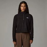 The North Face Kadın 100 Glacier Cropped Polar Huni Yaka Regular Fit Kumaş S - Karışık