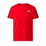 The North Face Lightning Alpine Erkek Tişört