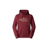 THE NORTH FACE M Drew Peak Light Hoodie Kapüşonlu Sweatshirt Erkek