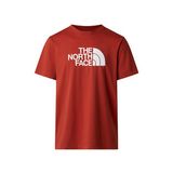 THE NORTH FACE M Evolution Half Dome Erkek Outdoor Tişörtü NF0A8B6JG6I1Kırmızı
