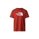 THE NORTH FACE M EVOLUTION HALF DOME REGULAR SHORT SLEE Erkek Tişört NF0A8B6JG6I1 Gri-XXL