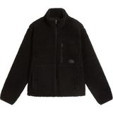 The North Face M Extreme Pıle 2 Fz Jacket Erkek Ceket NF0A8KQXJK31 - S - Siyah