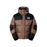 The North Face M Hmlyn Baltoro Jacket Erkek Outdoor Montu (600 Dolgu Kaz Tüyü) NF0A832GDHL1 Kahverengi