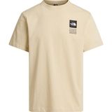 The North Face M Icon Celebratıon Regular Short Sleeve Erkek Tişört NF0A8GASDOM1 - Gri