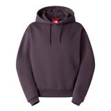 The North Face M Tnf Red Box Hoodıe Erkek Sweatshirt Nf0a8efz0sa1