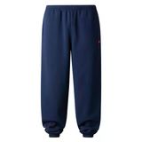 The North Face M Tnf Red Box Sweatpants Erkek Pantolon Nf0a8eg38k21
