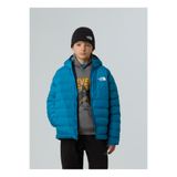THE NORTH FACE Mavi Erkek Çocuk Mont NF0A88TWBOM1-B REVERSIBLE PERRITO H